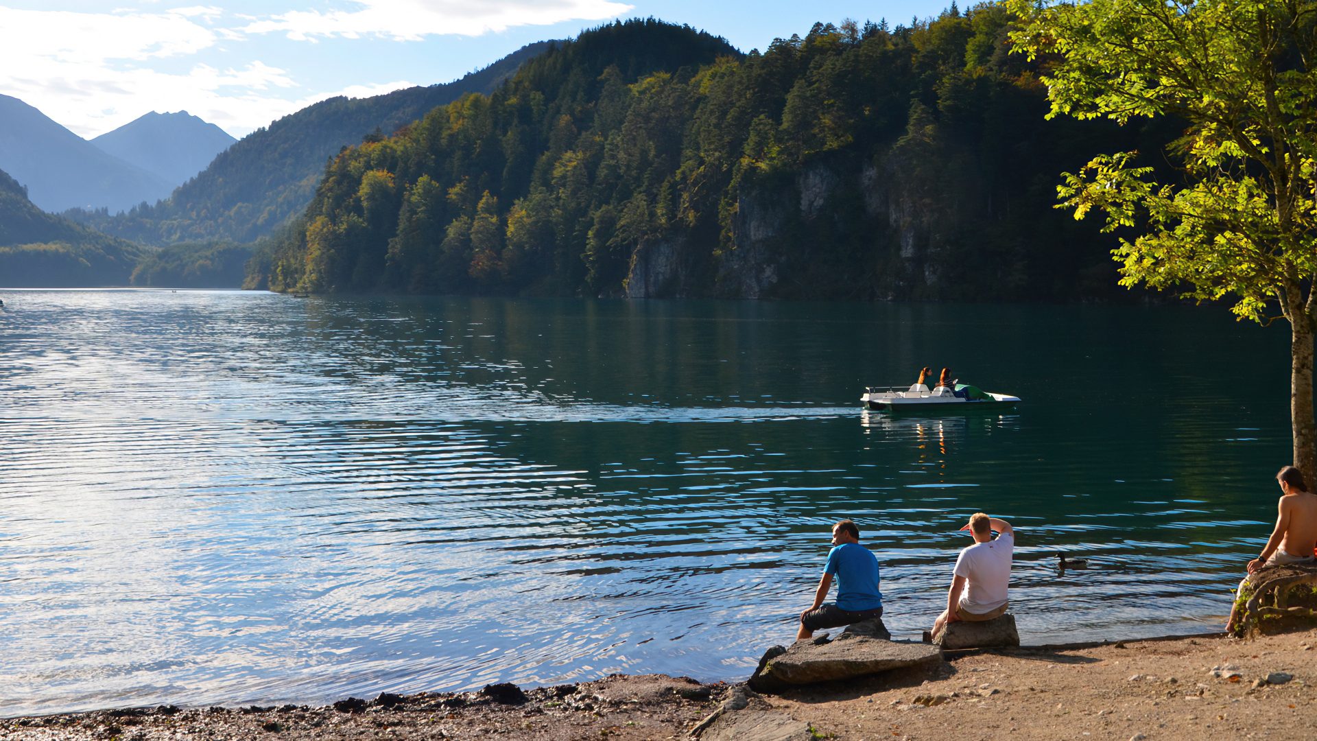 Alpsee-Plansee circuit