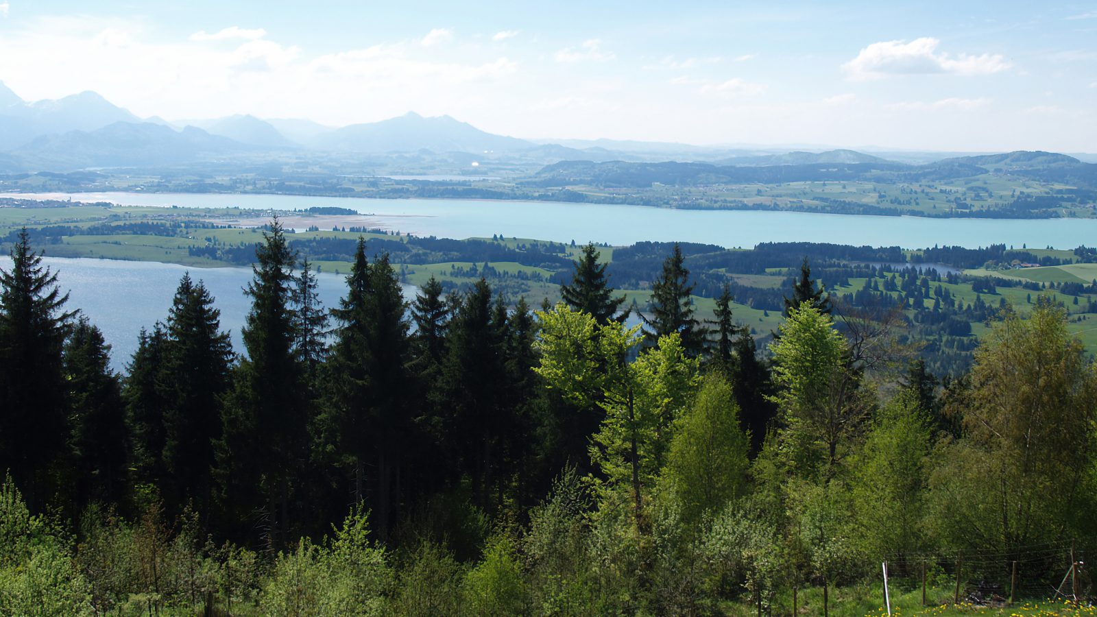 Buchenberg-ronde