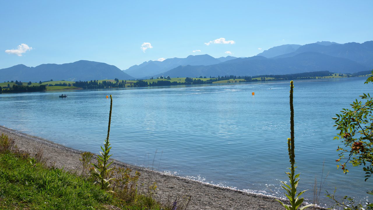 Forggensee circuit