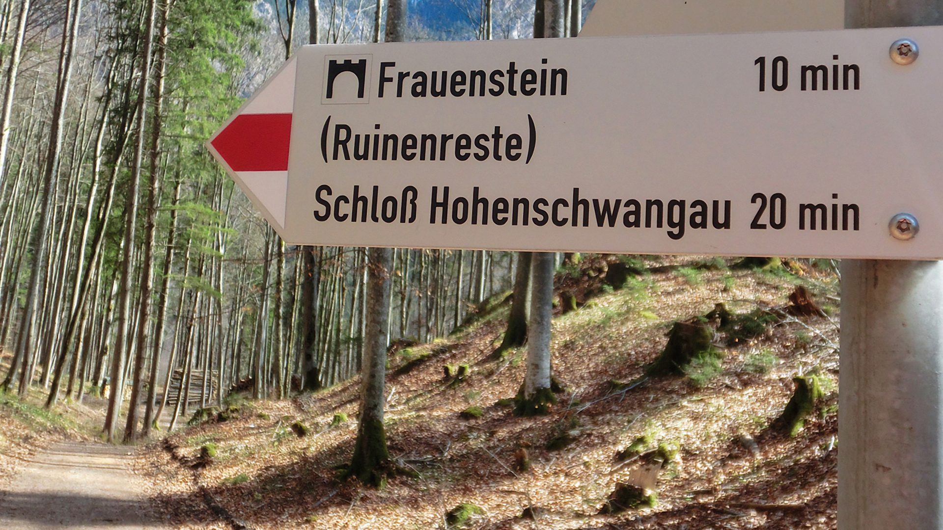 Fernwanderwege-Etappen nach Füssen: Etappe Pflach - Hohenschwangau - Füssen