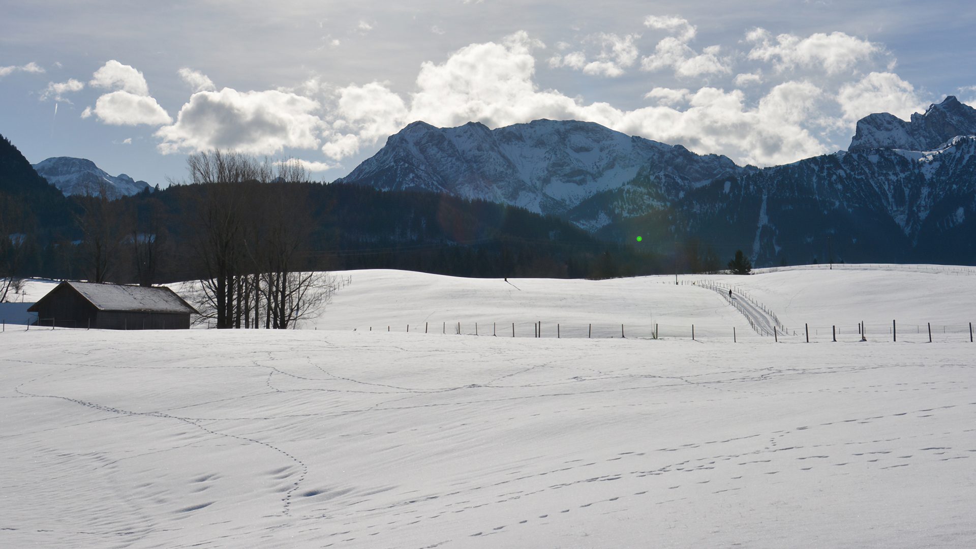 Winterimpressionen auf dem Breitenberg