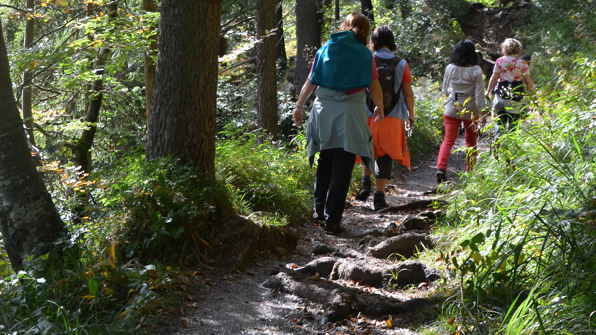 Herbstwanderungen rund um Füssen-Weissensee