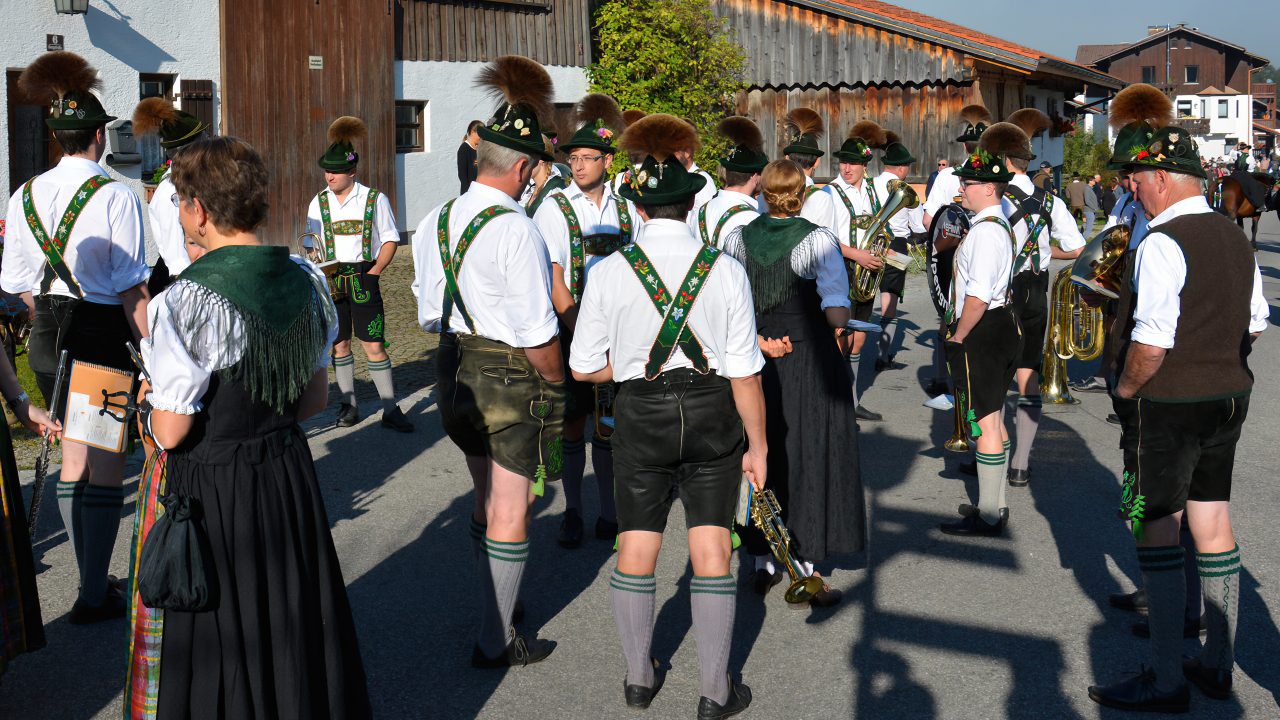 Viehscheid in Allgäu