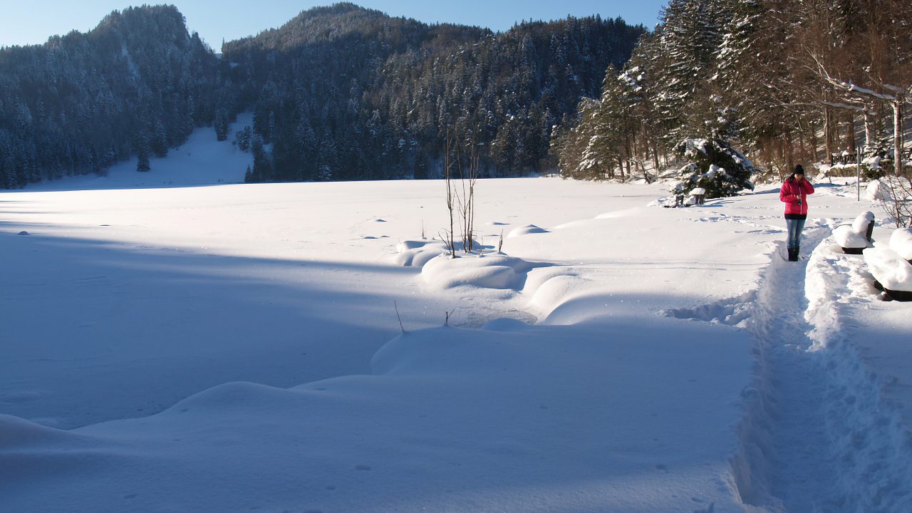 De winter van zijn meest charmante kant: winterwandeling naar de Saloberalm