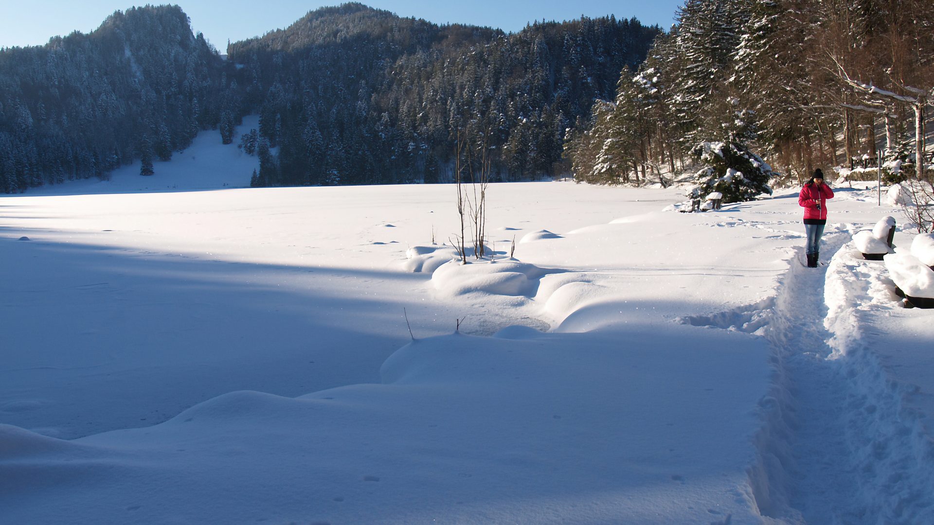Der Winter von seiner reizvollen Seite: Winterwanderung zur Saloberalm