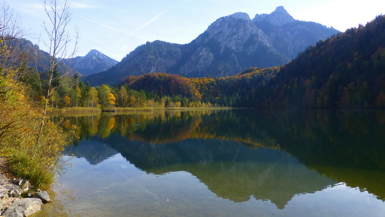The Swan Lake