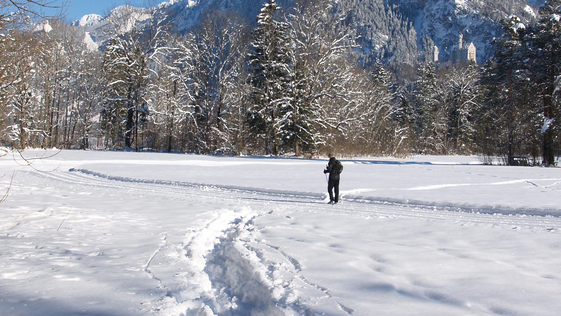 Skitour auf die Alpspitze