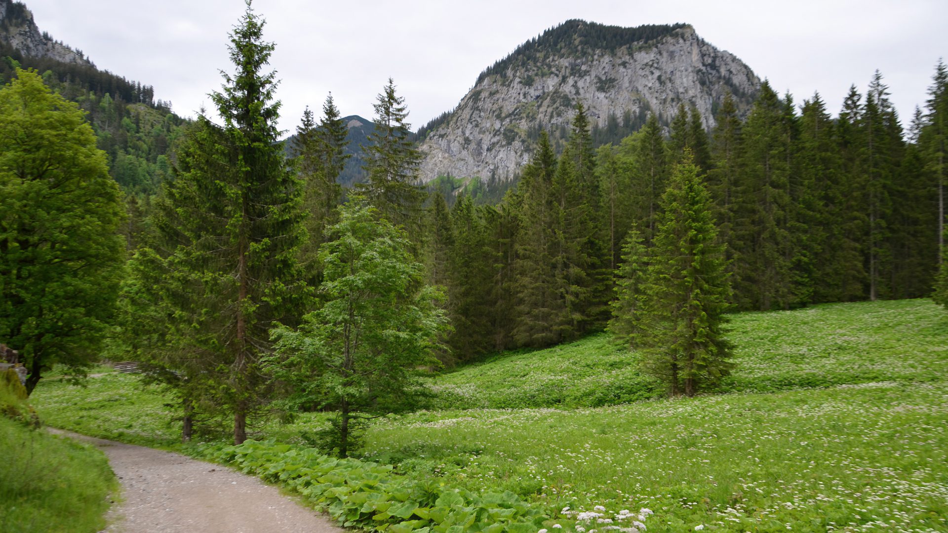 Rondwandeling van Tegelberg naar Ahornspitze via de Bleckenau