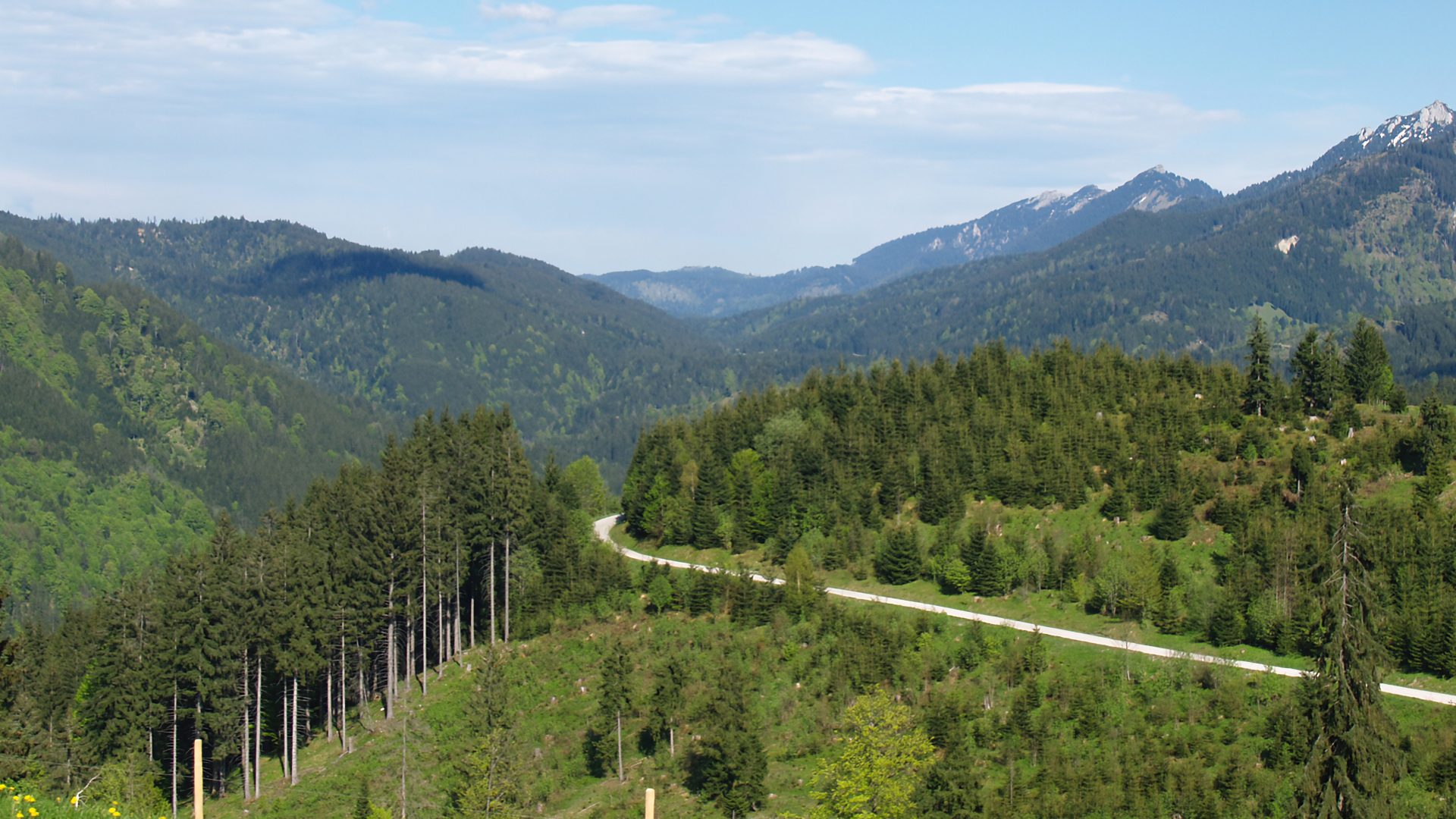 Die Bergtour von Buching durch das Ammergebirge auf den Tegelberg