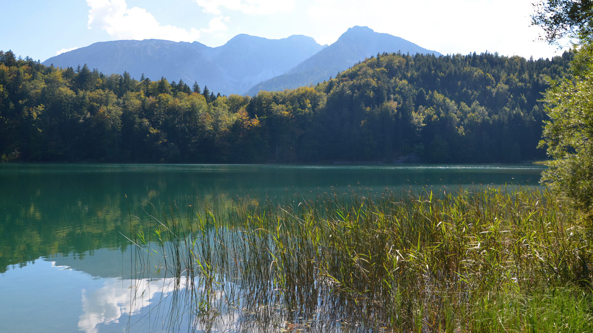 Die ca. 8,8 km lange Wandertour von Füssen-Weißensee über Roßmoos hinauf zur urigen Salober Alm