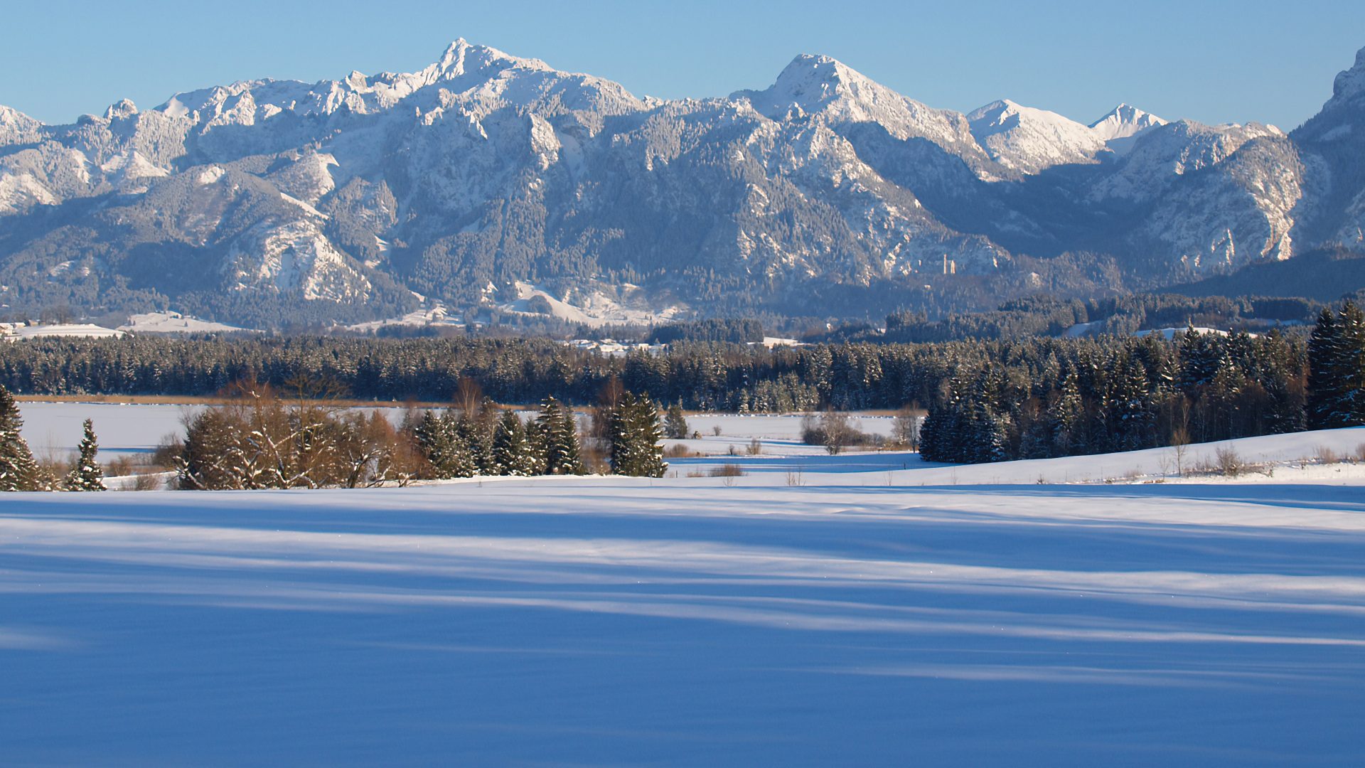 Schlittenfahren rund um Weißensee