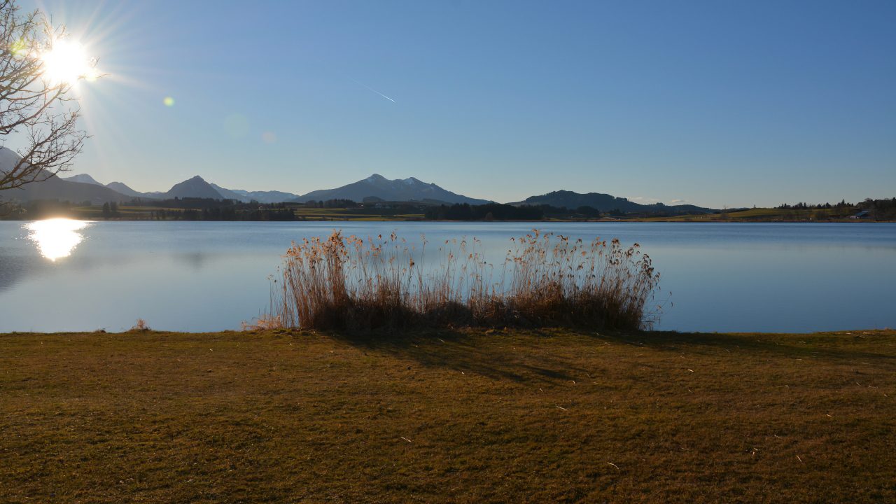 An extraordinary holiday experience: torchlight hike around Lake Hopfensee