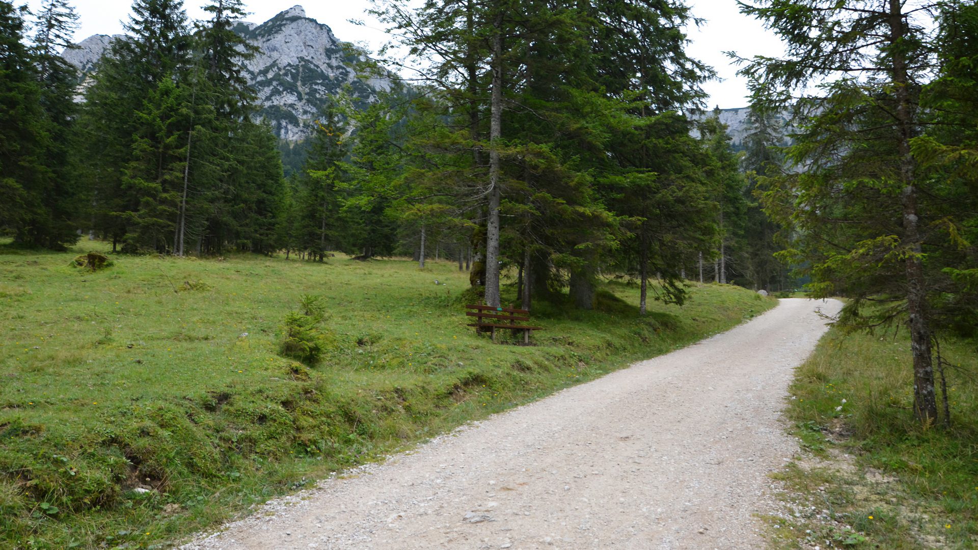 Wandeltocht naar de kasteelruïnes Falkenstein en Vilsegg