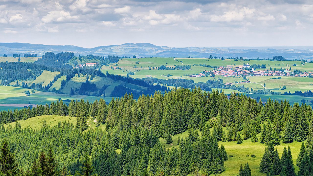 Vissen in Allgäu