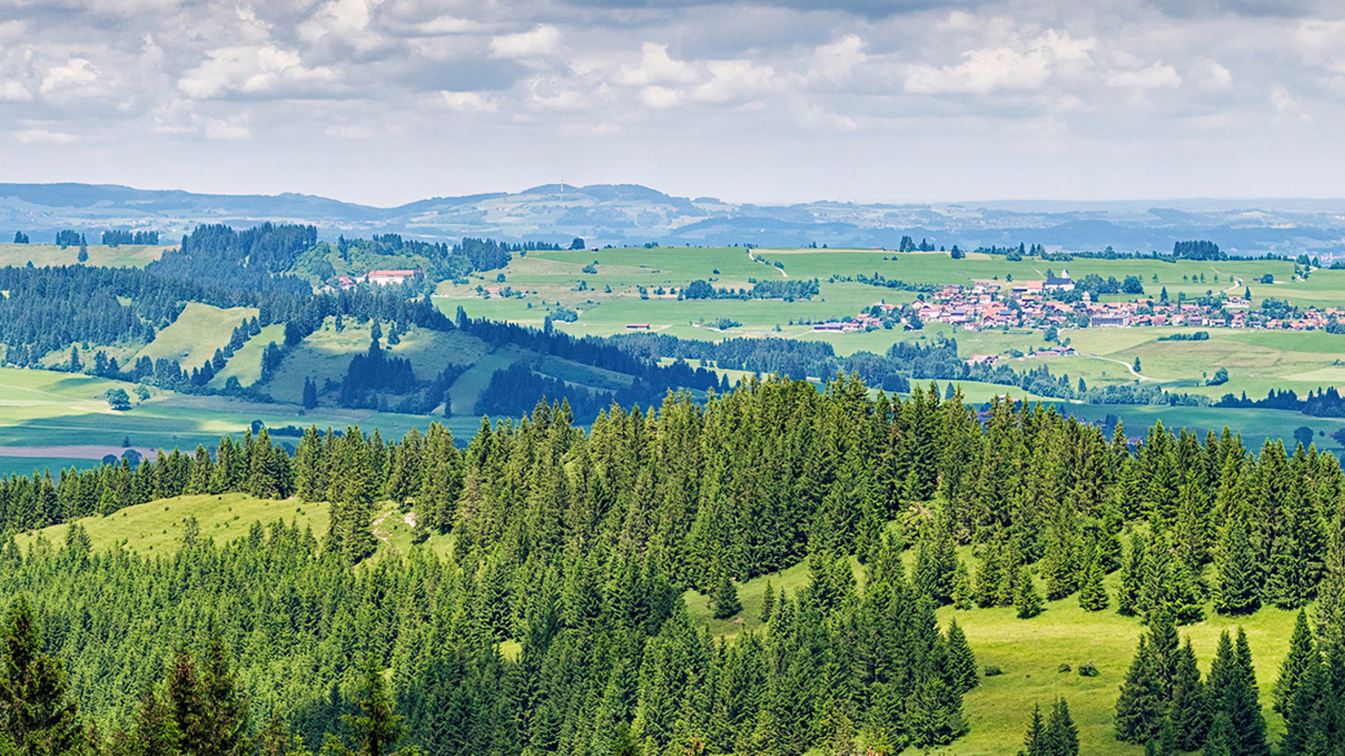 Fishing in Allgäu