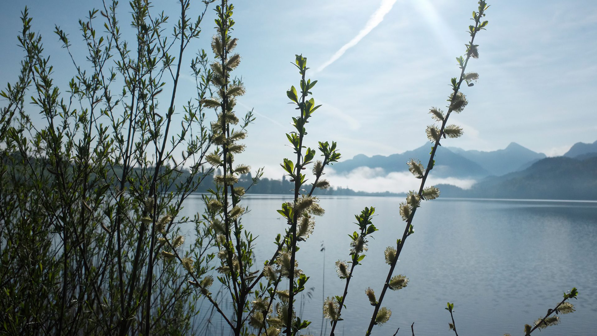 Gesundheitswanderungen im Allgäu
