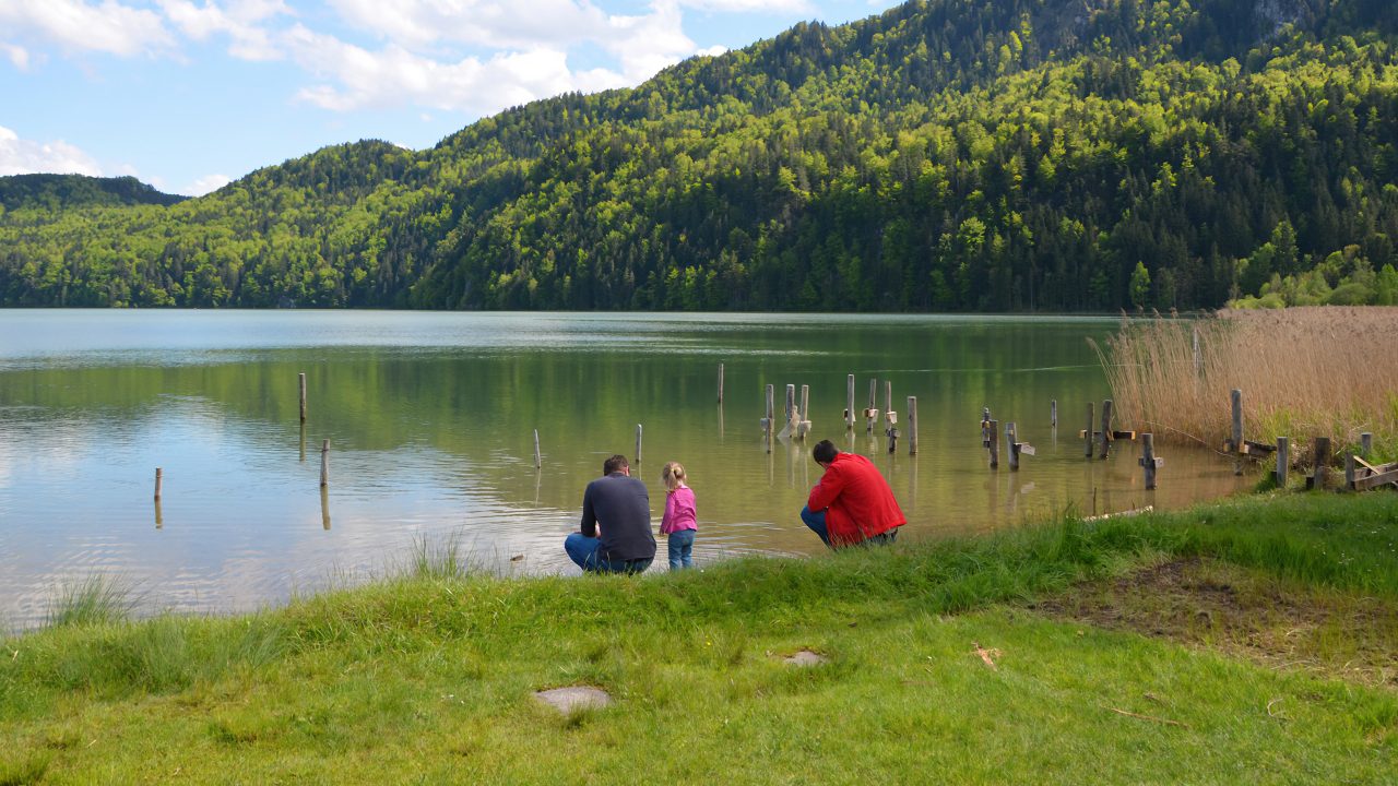A Segway tour through the Allgäu around Füssen-Weißensee