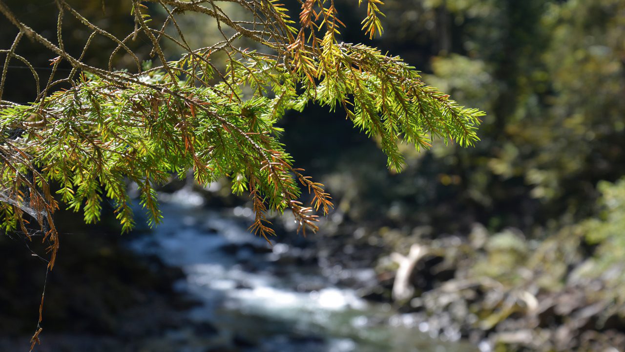 The Starzlachklamm near Sonthofen