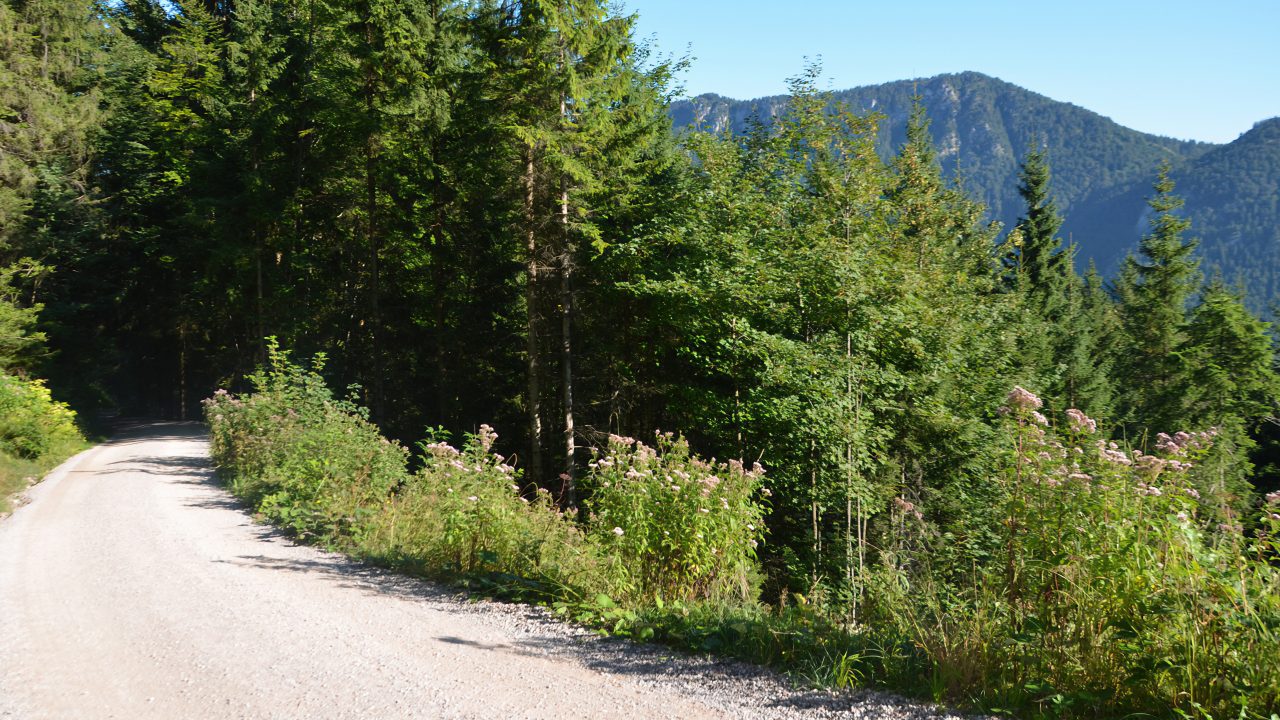 De kilometerlange mountainbiketocht 13,3 van Füssen naar de Vilser Alm