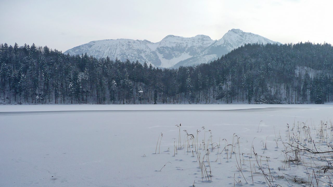 In winter: The 7,5 kilometer-long Bad Faulenbach-Alatsee circuit