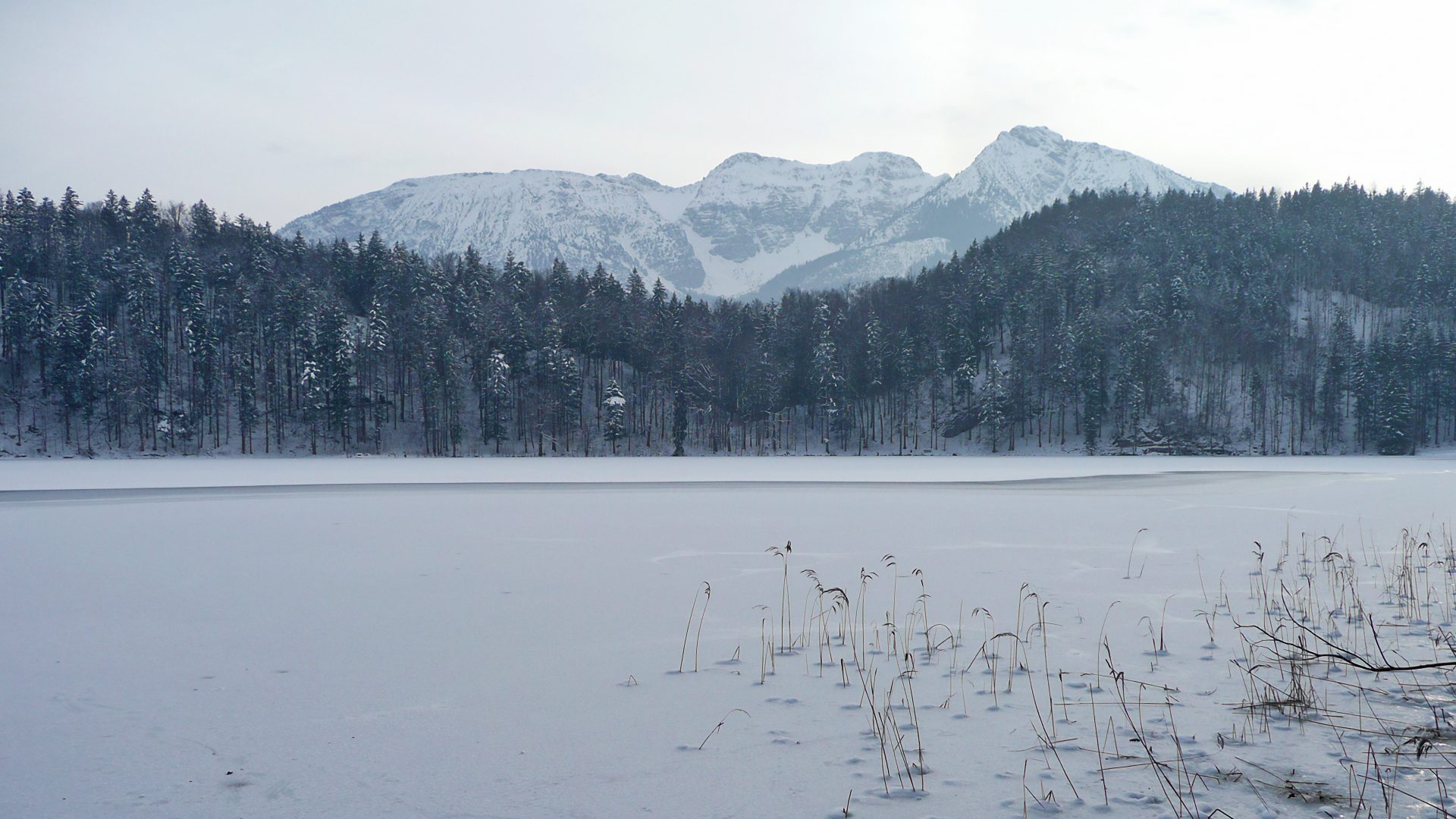Im Winter: Die 7,5 Kilometer lange Bad Faulenbach-Alatsee-Runde