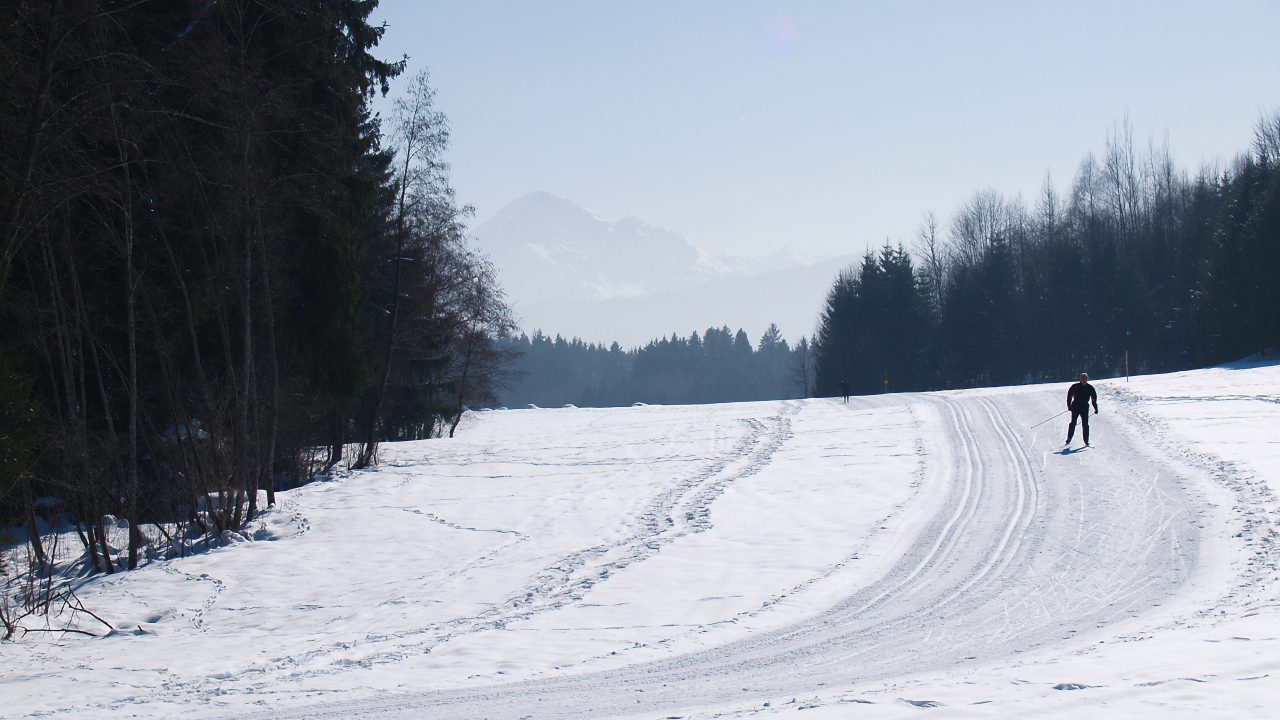 Skilanglauf - Venetianerwinkel  eine schöne Loipe für Anfänger in Füssen