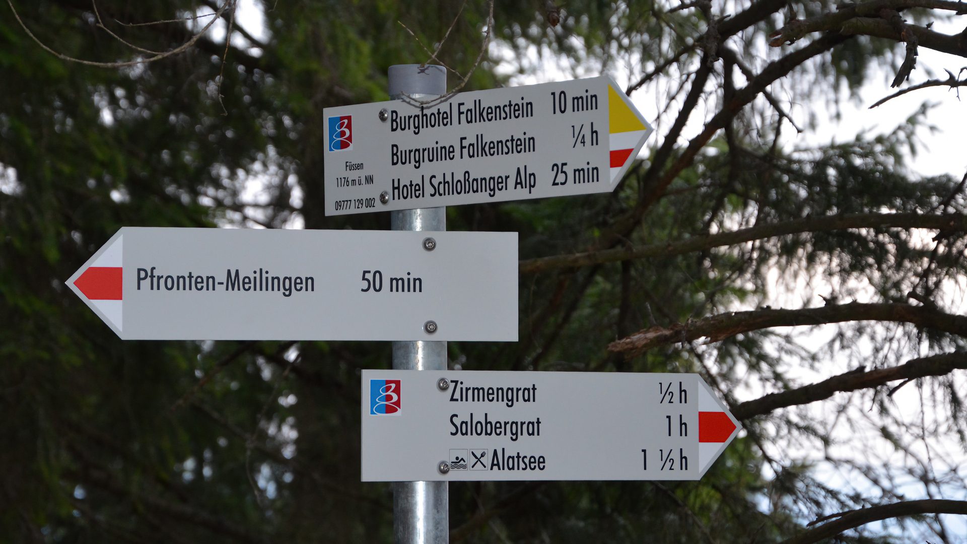 With the e-bike to the Falkenstein castle ruins