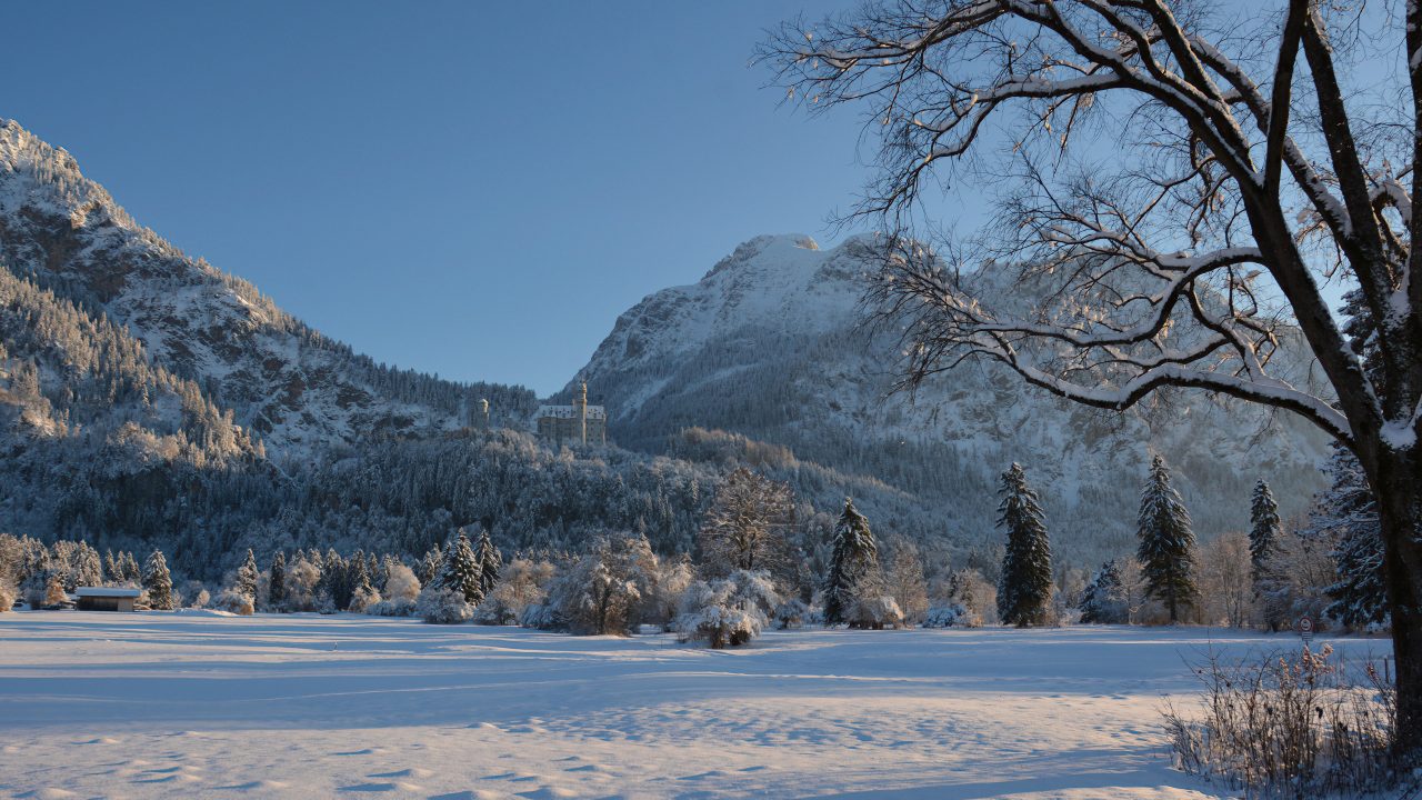 Langlaufvergnügen auf der Schwangauer Rundloipe