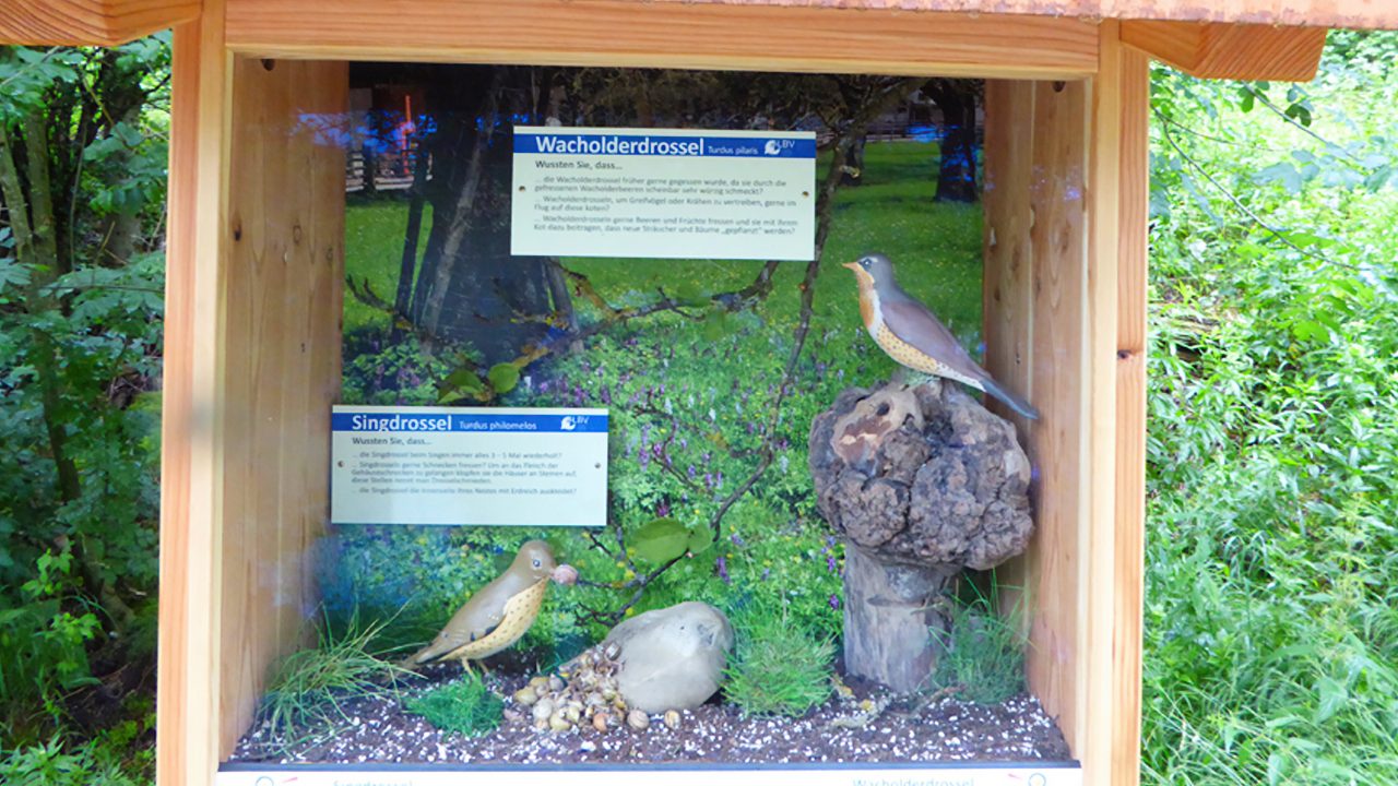 Bird models in a display beside the woodland