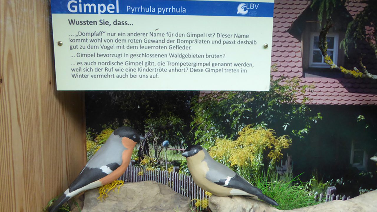 Alatsee bird discovery trail