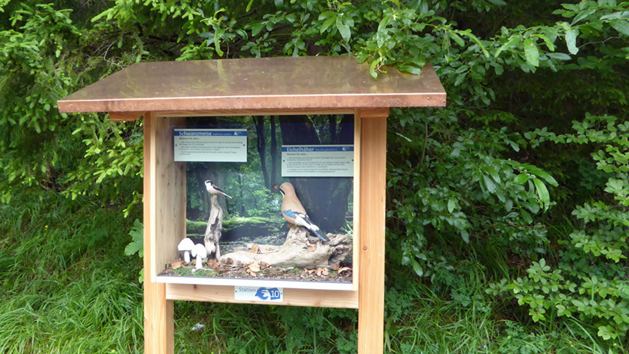 Bird station on the Alatsee circuit